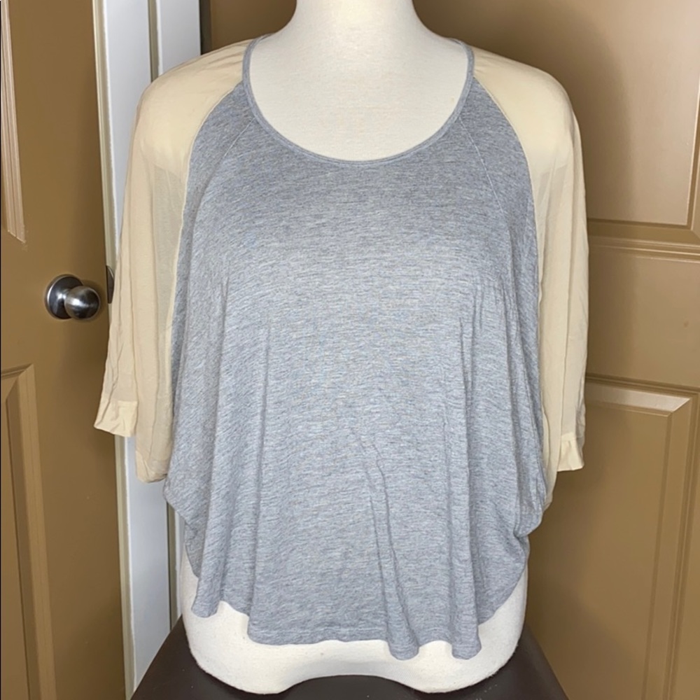 Sheer and Gray Top